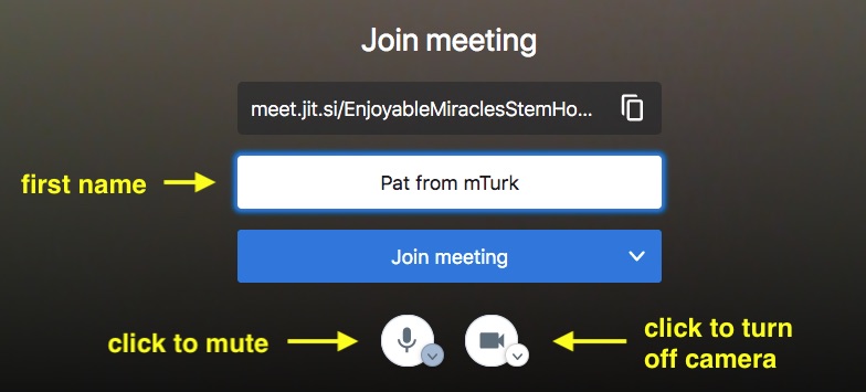 Enter your name in the Name field. Turn off your camera if desired. You can also mute your mic while you're in the waiting room.
